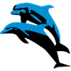 Delfin, Delfine - Dolphin