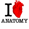 I (Heart) Anatomy