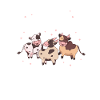 cows