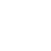 Wing Chun
