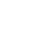 Sisu