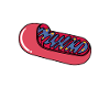 Biologist biologist mitochondrion blood platelets
