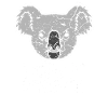 Koala Funny Australia