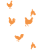 Chicken animal chickens gift · chickens