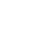 Spider cobweb