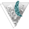 Polyscope Paraglider pacific