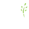 World Peace Day