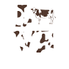 cow