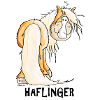 Happy Haflinger
