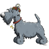 Funny Scottish Terrier