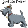 Happy Scottish Terrier