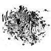 Zebra White Black