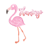 Flamingo shirt