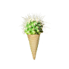 Kaktus Eis