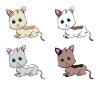 Cats 4 times