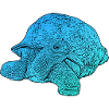 giant tortoise