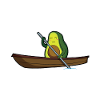 Canoa Kayak Avocado Dono Canoista Detti