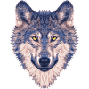 wolf