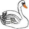 swan