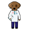 Dogtor