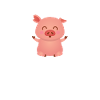 pig