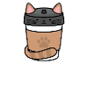 Café de chat