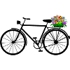 cycle
