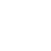 loewe head / löwenkopf