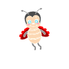 Ladybug Ladybug