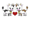Cows love each other