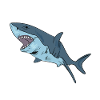 Shark shark