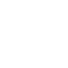 Snail Animal
