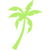 palm tree