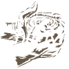 do pottery