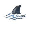 Shark Shark Shark Fin