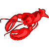 lobster