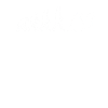 Aikido Evolution