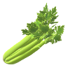 Celery the healthy vegetables