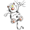 Adventurous Cat