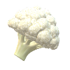 A white cauliflower