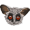 Bush baby Galago apegåvaidé
