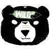Wild bear