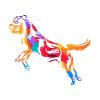 Rottweiler Polygon