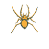 Spider Toxic spider