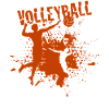 Volley-ball