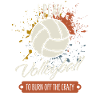 Volley-ball
