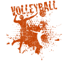 Volley-ball
