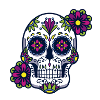 skull