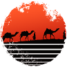 Camels in Desert