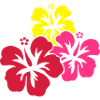 hawaii_blumen
